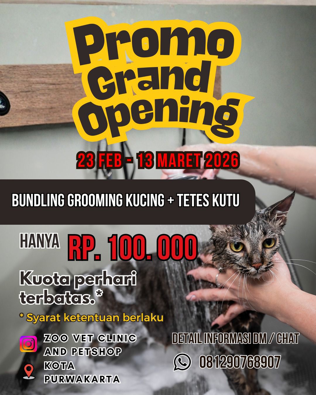 Promo Grand Opening Grooming Kucing + Tetes Anti Kutu